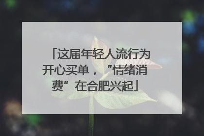 这届年轻人流行为开心买单，“情绪消费”在合肥兴起