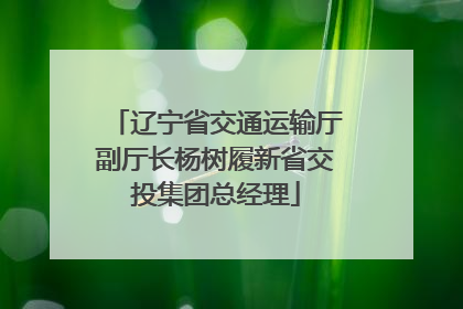辽宁省交通运输厅副厅长杨树履新省交投集团总经理