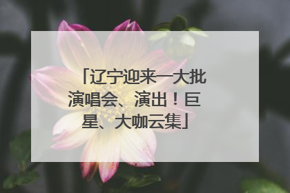 辽宁迎来一大批演唱会、演出！巨星、大咖云集