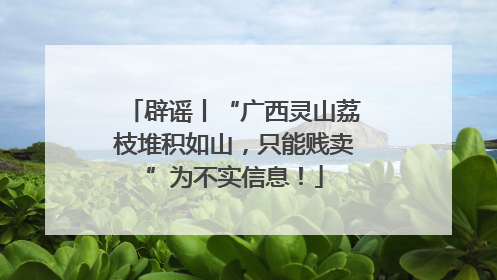 辟谣丨“广西灵山荔枝堆积如山，只能贱卖”为不实信息！