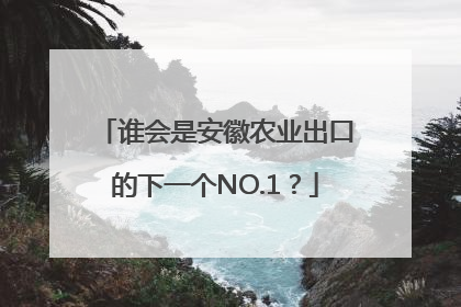 谁会是安徽农业出口的下一个NO.1？