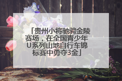 贵州小将驰骋金陵赛场，在全国青少年U系列山地自行车锦标赛中勇夺3金