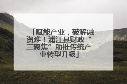 赋能产业，破解融资难！浦江县财政“三聚焦”助推传统产业转型升级