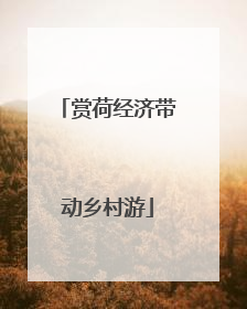 赏荷经济带动乡村游