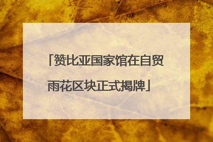 赞比亚国家馆在自贸雨花区块正式揭牌