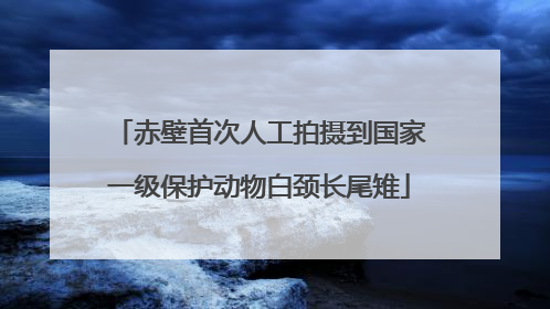 赤壁首次人工拍摄到国家一级保护动物白颈长尾雉
