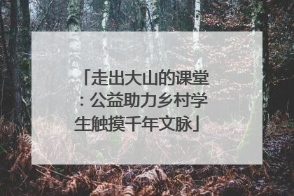 走出大山的课堂：公益助力乡村学生触摸千年文脉