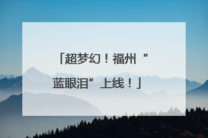 超梦幻！福州“蓝眼泪”上线！