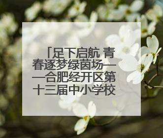 足下启航 青春逐梦绿茵场——合肥经开区第十三届中小学校园足球联赛圆满收官