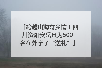 跨越山海寄乡情！四川资阳安岳县为500名在外学子“送礼”