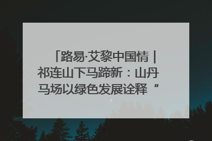 路易·艾黎中国情｜祁连山下马蹄新：山丹马场以绿色发展诠释“两山”理论实践