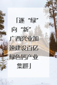 逐“绿”向“新” 广西兴业加速建设百亿绿色钙产业集群