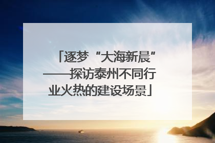 逐梦“大海新晨”——探访泰州不同行业火热的建设场景