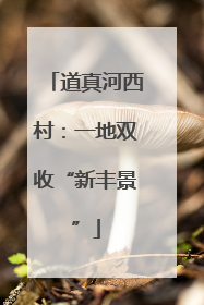 道真河西村：一地双收“新丰景”