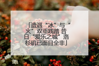 遭遇“冰”与“火”双重践踏 昔日“爱乐之城”洛杉矶已面目全非