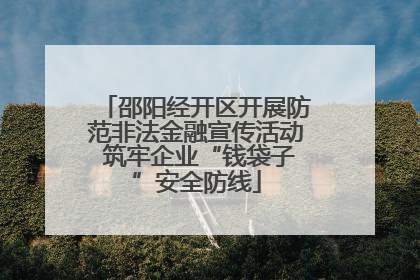 邵阳经开区开展防范非法金融宣传活动 筑牢企业“钱袋子”安全防线