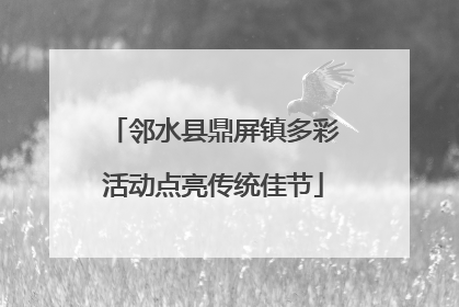 邻水县鼎屏镇多彩活动点亮传统佳节