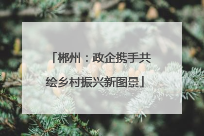 郴州：政企携手共绘乡村振兴新图景