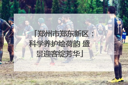 郑州市郑东新区：科学养护绘荷韵 盛景迎客绽芳华