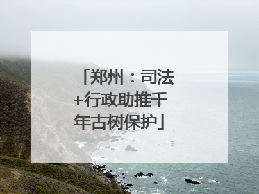 郑州：司法+行政助推千年古树保护