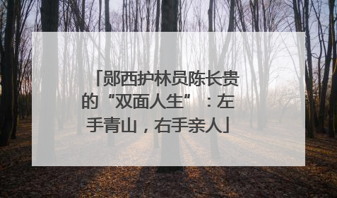 郧西护林员陈长贵的“双面人生”：左手青山，右手亲人
