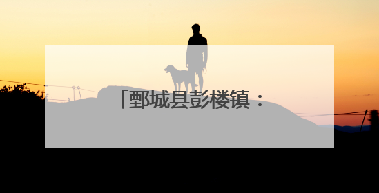 鄄城县彭楼镇：中草药种植打造致富“金钥匙”