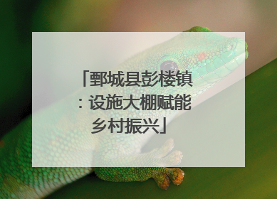 鄄城县彭楼镇：设施大棚赋能乡村振兴