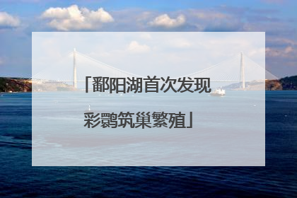 鄱阳湖首次发现彩鹮筑巢繁殖