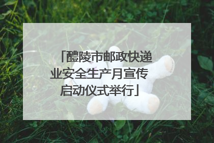 醴陵市邮政快递业安全生产月宣传启动仪式举行