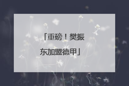 重磅！樊振东加盟德甲