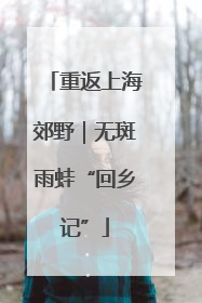 重返上海郊野｜无斑雨蛙“回乡记”