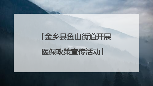金乡县鱼山街道开展医保政策宣传活动