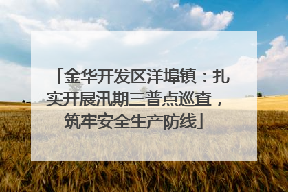 金华开发区洋埠镇：扎实开展汛期三普点巡查，筑牢安全生产防线