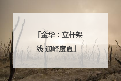 金华：立杆架线 迎峰度夏