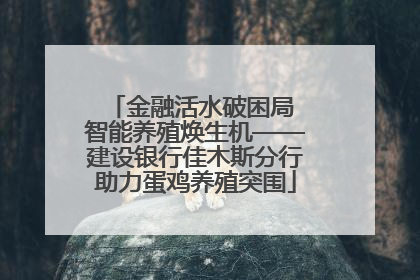 金融活水破困局 智能养殖焕生机——建设银行佳木斯分行助力蛋鸡养殖突围