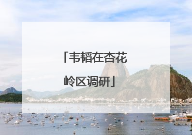 韦韬在杏花岭区调研