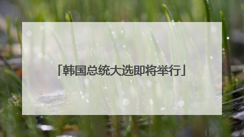 韩国总统大选即将举行