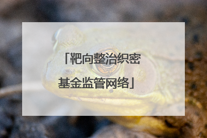 靶向整治织密基金监管网络