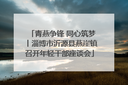 青燕争锋 同心筑梦丨淄博市沂源县燕崖镇召开年轻干部座谈会