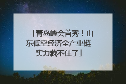 青岛峰会首秀！山东低空经济全产业链实力藏不住了