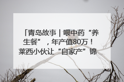 青岛故事｜喂中药“养生餐”，年产值80万！莱西小伙让“自家产”锦鲤“游”向全国