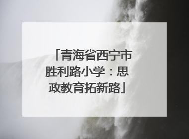 青海省西宁市胜利路小学：思政教育拓新路