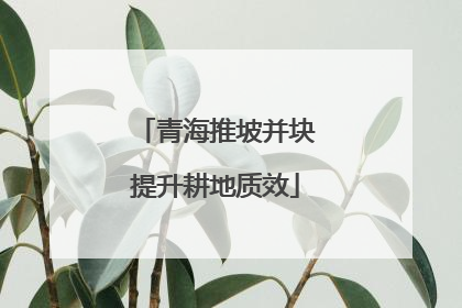 青海推坡并块提升耕地质效