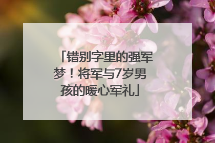 错别字里的强军梦！将军与7岁男孩的暖心军礼