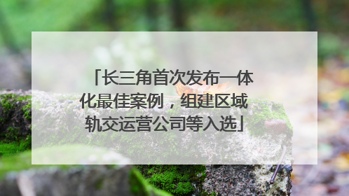 长三角首次发布一体化最佳案例，组建区域轨交运营公司等入选