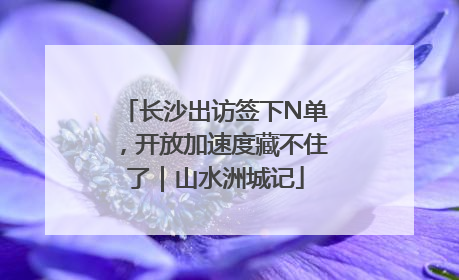 长沙出访签下N单，开放加速度藏不住了｜山水洲城记