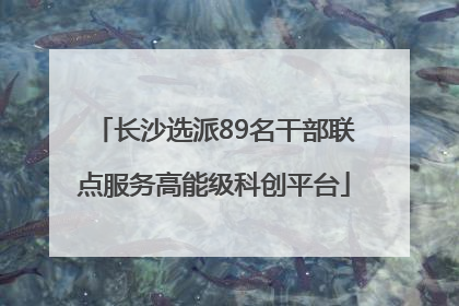 长沙选派89名干部联点服务高能级科创平台