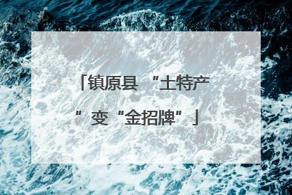 镇原县 “土特产”变“金招牌”