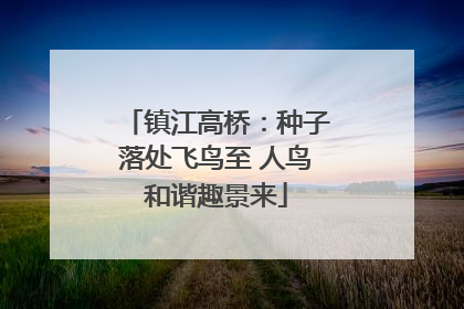 镇江高桥：种子落处飞鸟至 人鸟和谐趣景来