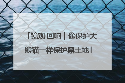 镜观·回响｜像保护大熊猫一样保护黑土地